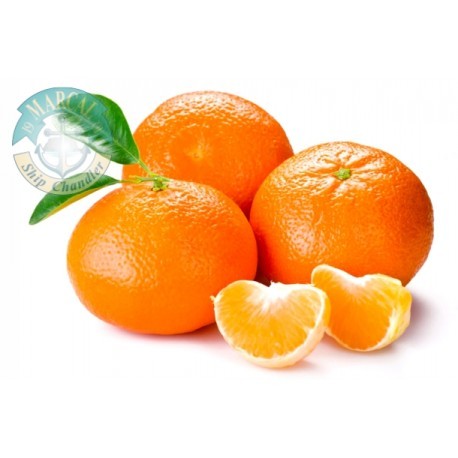 Orange 1 Dozen